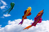 foto de Something Like Kites
